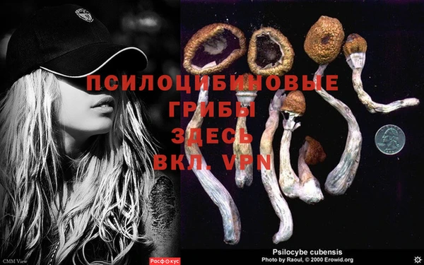 круглые Нефтегорск