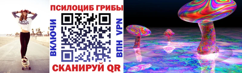 shop какой сайт  Ува  Псилоцибиновые грибы Cubensis 